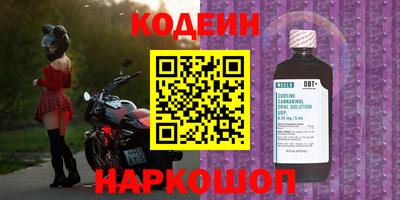 прущие грибы Канаш