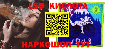 гидра Камышлов